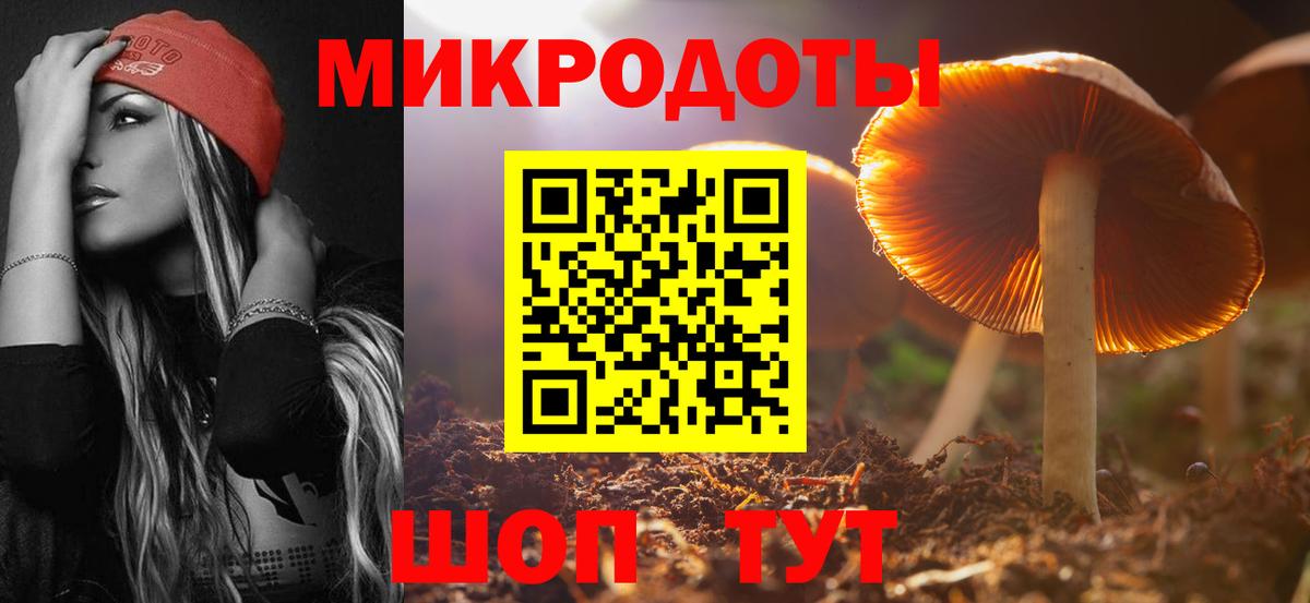 Галлюциногенные грибы GOLDEN TEACHER Казань