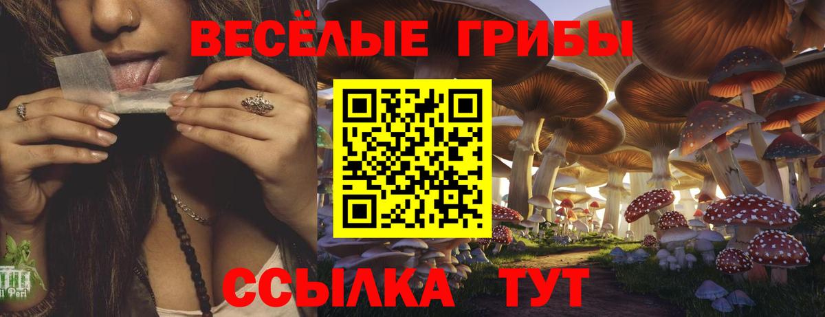 Казань  Псилоцибиновые грибы Cubensis  купить   Вход с VPN 