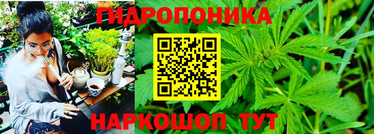 Марихуана семена Казань